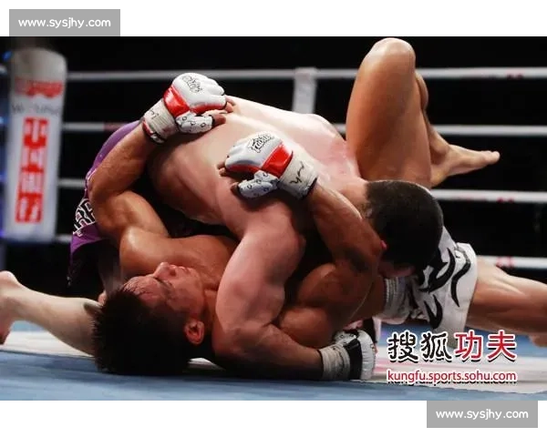宁广友vs杨建平巅峰对决背后隐藏的格斗理念与职业生涯转折